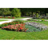 รูปถ่าย ฝรั่งเศส(France) ปารีส(Paris) สวนพันธ์ุพืช(Jardin des Plantes) 2007-08 50