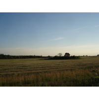 รูปถ่าย รัสเซีย(Russia) จากซูซดัลไปยาโรสลาฟล์(From Suzdal to Yaroslavl) 2006-07 3