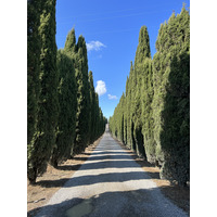 รูปถ่าย อิตาลี(Italy) ทัสคานี(Tuscany) 2021-09 5