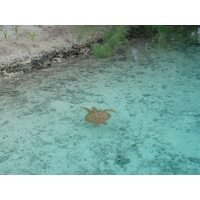 รูปถ่าย เฟรนช์โพลี่นีเซีย(Polynesia) โรงแรมเลอเมอริเดียน โบราโบรา(Meridien Bora Bora Hotel) 2006-04 78