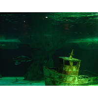 รูปถ่าย ฝรั่งเศส(France) เลอกรัวซิก(Le Croisic) 2004-08 30