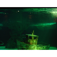 รูปถ่าย ฝรั่งเศส(France) เลอกรัวซิก(Le Croisic) 2004-08 32