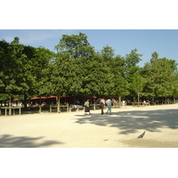 รูปถ่าย ฝรั่งเศส(France) ปารีส(Paris) สวนตุยเลอรี(Garden of Tuileries) 2007-05 175