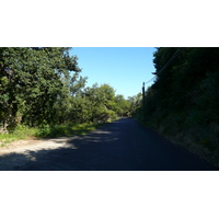 รูปถ่าย ฝรั่งเศส(France) ลาโกด(La Gaude) 2007-07 54