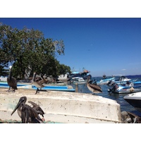 รูปถ่าย คอสตาริกา(Costa Rica) ปุนตาเรนัส(Puntarenas) 2015-03 101
