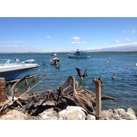 รูปถ่าย คอสตาริกา(Costa Rica) ปุนตาเรนัส(Puntarenas) 2015-03 126