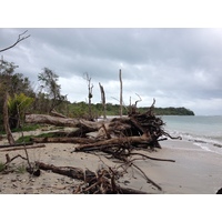 รูปถ่าย คอสตาริกา(Costa Rica) กาอุยตา(Cahuita) 2015-03 10