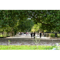 รูปถ่าย ฝรั่งเศส(France) ปารีส(Paris) สวนพันธ์ุพืช(Jardin des Plantes) 2007-08 171