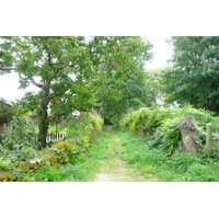 รูปถ่าย ฝรั่งเศส(France) ล็อกโรน็อง(Locronan) 2008-07 8