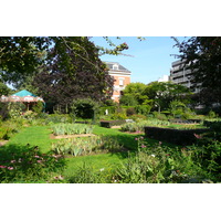 รูปถ่าย ฝรั่งเศส(France) ปารีส(Paris) สวนพันธ์ุพืช(Jardin des Plantes) 2007-08 209