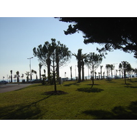 รูปถ่าย ฝรั่งเศส(France) คาญ-ซูร์-แมร์(Cagnes sur Mer) 2006-01 14