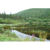รูปถ่าย อังกฤษ(United Kingdom) สกอตแลนด์(Scotland) ถนนจากทะเลสาบลอคลากันไปทะเลสาบล็อกเนสส์(Loch Laggan to Loch Ness road) 2011-07 12