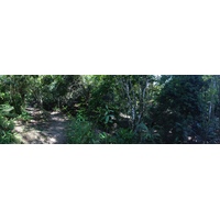 รูปถ่าย คอสตาริกา(Costa Rica) มานวยล์อันโตนีโอ(Manuel Antonio) 2015-03 133