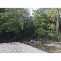 รูปถ่าย คอสตาริกา(Costa Rica) มานวยล์อันโตนีโอ(Manuel Antonio) 2015-03 513