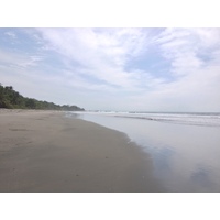 รูปถ่าย คอสตาริกา(Costa Rica) มอนเตซูมา(Montezuma) 2015-03 271