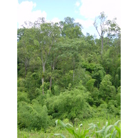 รูปถ่าย ไทย(Thailand) แม่ฮ่องสอน(Mae Hong Son) 2003-07 2