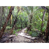 รูปถ่าย คอสตาริกา(Costa Rica) กาอุยตา(Cahuita) 2015-03 48
