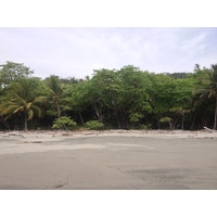 รูปถ่าย คอสตาริกา(Costa Rica) มอนเตซูมา(Montezuma) 2015-03 168