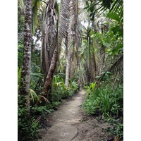 รูปถ่าย คอสตาริกา(Costa Rica) กาอุยตา(Cahuita) 2015-03 8
