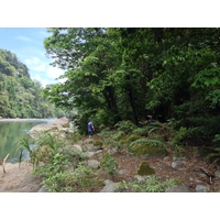 รูปถ่าย คอสตาริกา(Costa Rica) แม่น้ำปากัวเร(Pacuare River) 2015-03 40