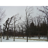 รูปถ่าย ออสเตรีย(Austria) เวียนนา(Vienna) 2005-03 45