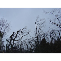 รูปถ่าย ออสเตรีย(Austria) เวียนนา(Vienna) 2005-03 105