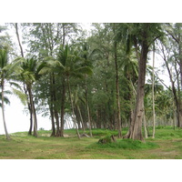 รูปถ่าย ไทย(Thailand) เขาหลัก(Khao Lak) หาดบางสัก(Bang Sak Beach) 2005-12 40