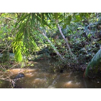 รูปถ่าย คอสตาริกา(Costa Rica) มานวยล์อันโตนีโอ(Manuel Antonio) 2015-03 57