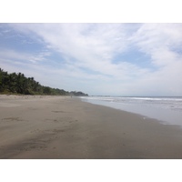 รูปถ่าย คอสตาริกา(Costa Rica) มอนเตซูมา(Montezuma) 2015-03 325