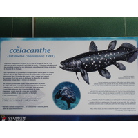 รูปถ่าย ฝรั่งเศส(France) เลอกรัวซิก(Le Croisic) 2006-08 31