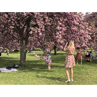 รูปถ่าย ฝรั่งเศส(France) สวนโซ(Parc de Sceaux) 2019-04 5