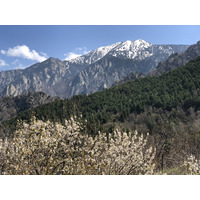 รูปถ่าย ฝรั่งเศส(France) แอบบีแซ็งมาร์แต็งดูกานีกู(Abbaye Saint Martin du Canigou) 2018-04 192