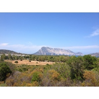 รูปถ่าย อิตาลี(Italy) ซาร์ดิเนีย(Sardinia) แหลมกาโปโกดากาวัลโล(Capo Coda Cavallo) 2015-06 65