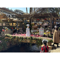รูปถ่าย จีน(China) ลี่เจียง(Lijiang) 2026-01 209
