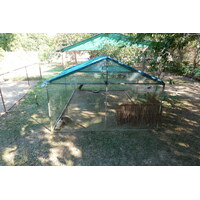 รูปถ่าย ไทย(Thailand) เชียงใหม่(Chiang Mai) ฟาร์มงูแม่สา(Mae Sa Snake Farm) 2010-12 26