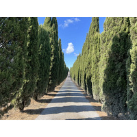 รูปถ่าย อิตาลี(Italy) ทัสคานี(Tuscany) 2021-09 20