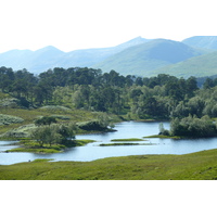 รูปถ่าย อังกฤษ(United Kingdom) สกอตแลนด์(Scotland) 2011-07 56