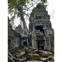 รูปถ่าย กัมพูชา(Cambodia) เสียมราฐ(Siem Reap) ปราสาทตาพรหม(Ta Prohm) 2023-01 94
