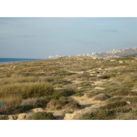 รูปถ่าย อิสราเอล(Israel) จากไฮฟาไปเทลอาวีฟ(From Haifa to Tel Aviv) 2006-12 79