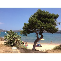 รูปถ่าย อิตาลี(Italy) ซาร์ดิเนีย(Sardinia) กอสตาสเมรัลดา(Costa Smeralda) 2015-06 17