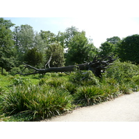 รูปถ่าย ฝรั่งเศส(France) ปารีส(Paris) สวนตุยเลอรี(Garden of Tuileries) 2007-05 260