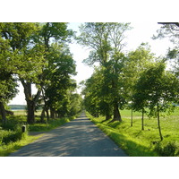 รูปถ่าย สวีเดน(Sweden) ถนนจากซิกทูนาไปอุปซอลา(Sigtuna to Uppsala road) 2005-06 10