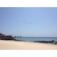 รูปถ่าย ปานามา(Panama) เกาะคอนตาโดรา(Contadora Island) 2015-03 56