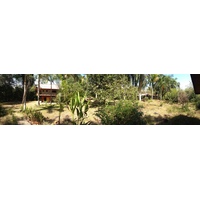 รูปถ่าย คอสตาริกา(Costa Rica) อูบีตา(Uvita) 2015-03 86