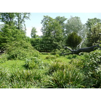 รูปถ่าย ฝรั่งเศส(France) ปารีส(Paris) สวนตุยเลอรี(Garden of Tuileries) 2007-05 300