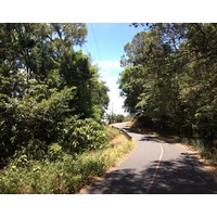 รูปถ่าย ปานามา(Panama) โบเกเต(Boquete) 2015-03 43