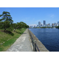 รูปถ่าย ญี่ปุ่น(Japan) โตเกียว(Tokyo) สวนฮามะริคิว(Hama rikyu Gardens) 2010-06 5