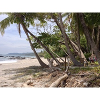 รูปถ่าย คอสตาริกา(Costa Rica) มอนเตซูมา(Montezuma) 2015-03 502