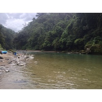 รูปถ่าย คอสตาริกา(Costa Rica) แม่น้ำปากัวเร(Pacuare River) 2015-03 95