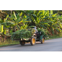 รูปถ่าย ไทย(Thailand) แม่น้ำโขง(Mekong river) 2012-12 180